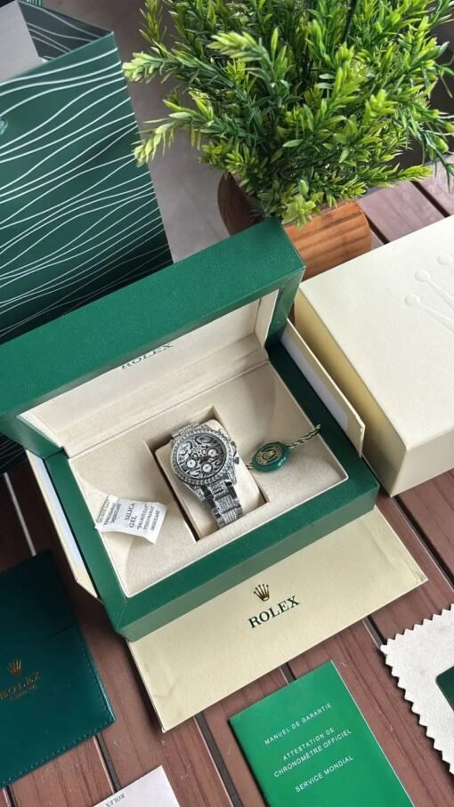 Rolex Oyster perpetual Tiger Silver - Image 5