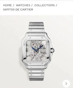 Cartie_r Santos Skeleton Battery