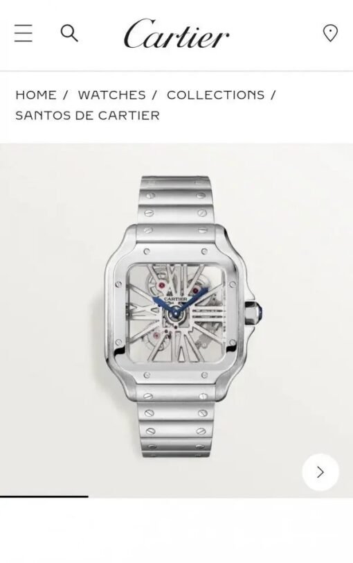 Cartie_r Santos Skeleton Battery