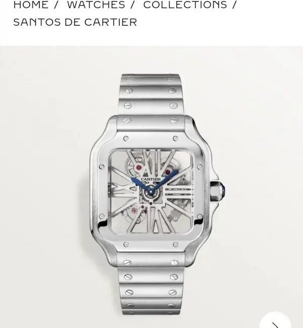 Cartie_r Santos Skeleton Battery